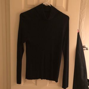 Valerie Stevens Pure Silk Ribbed Turtleneck